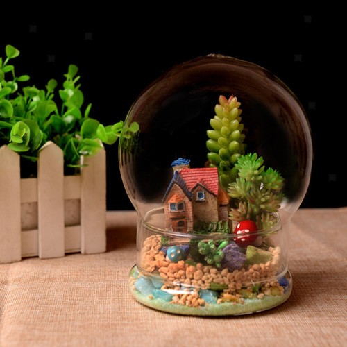 Display dome plant - display,