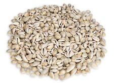 NaDeco Cypraea annulus 0,5kg |