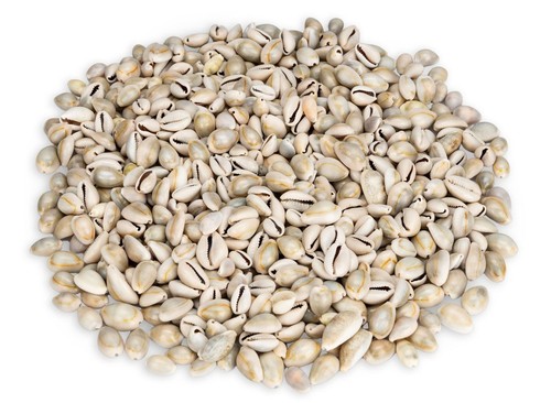 Nadeco cypraea annulus 5kg - 0,5kg, |