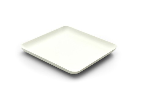 Teller aus zuckerrohr - aus, in