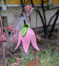 Blüte KERAMIK Glockenblume-