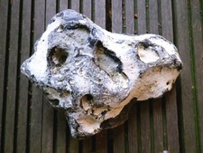 Hühnergott Lochstein Haus Garten Ostsee Glück Deko