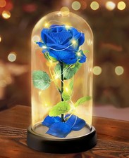Blauer Ewiger Rosenkranz in