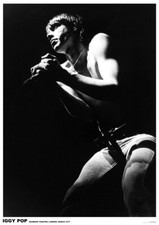 Poster IGGY POP - Rainbow