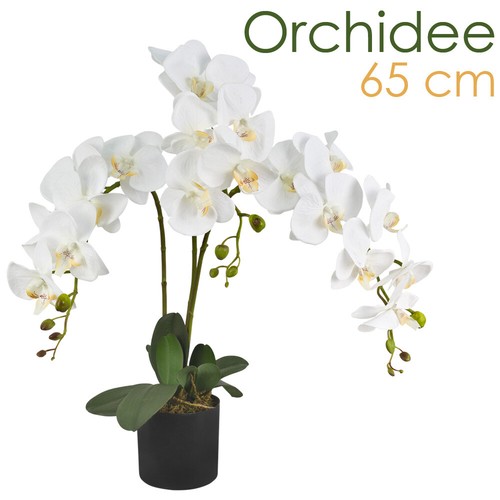 Künstliche orchidee - künstliche,