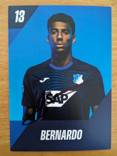 Bernardo tsg hoffenheim - tsg,