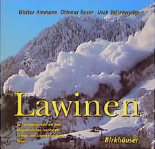 Lawinen