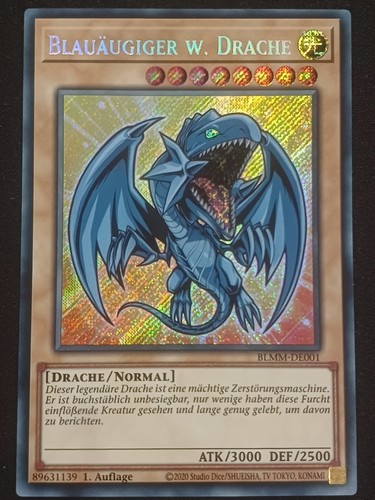 Blauäugiger drache - w.,