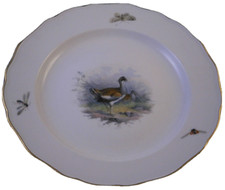 Antique Meissen Porcelain Bird