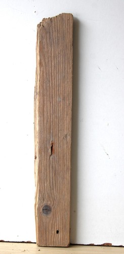 Treibholz schwemmholz - treibholz,