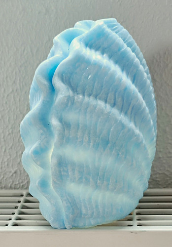 Led muschel blau - led, –