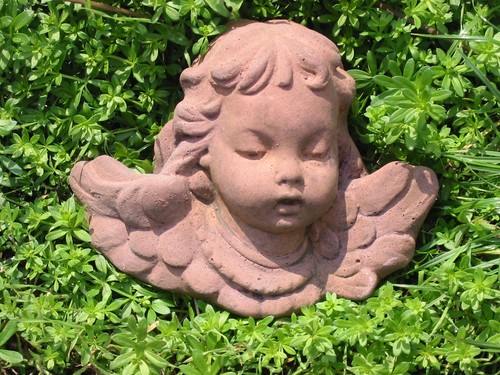1er engel kopf skulptur links - 1er,