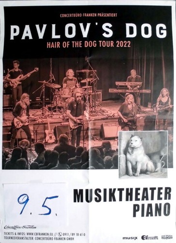 Pavlov dog 2022 - pavlov's, in