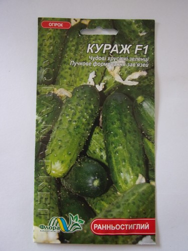 Gurken kurazh - gurken,