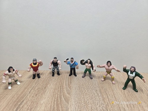 Wwf wwe wrestling mini - x,