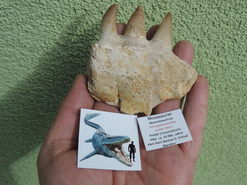 Schöne zähne mit - mit, einem