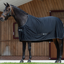 Bucas Shamrock Power