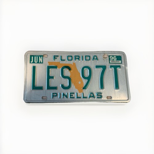 Kennzeichen florida bild - florida,