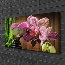 Leinwand bilder 100x50 - leinwand-bilder,