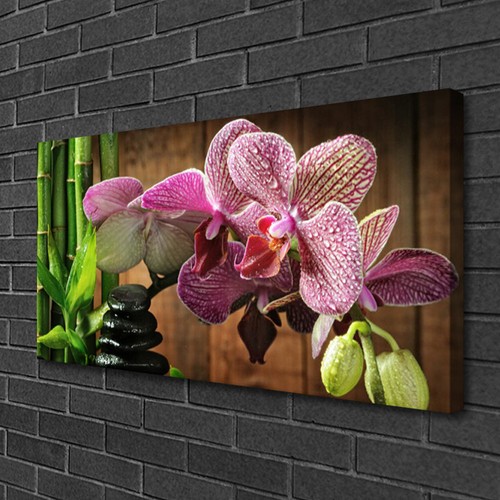 Leinwand bilder 100x50 - leinwand-bilder,