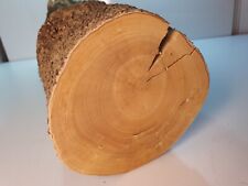 1 Stamm Drechselholz Buchsbaum