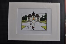 Tim und Struppi, tintin, Bild