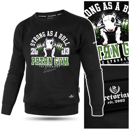 Pretorian sweatshirt pullover - pretorian,