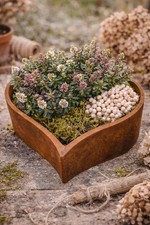 17x17x5cm Pflanzschale