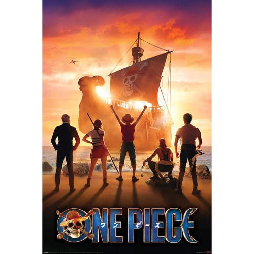 Poster one piece live action - piece,