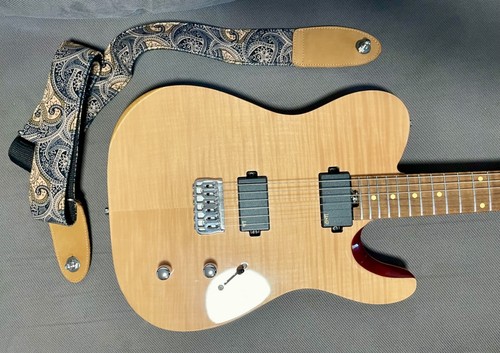 Custom telecaster harley - custom,