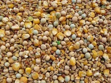 Ruku Taubenfutter Standard 10 kg Futter für Tauben Vogelfutter Körnermischung