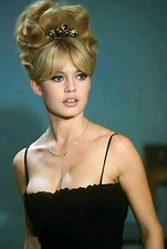 Retro Blechschild BRIGITTE