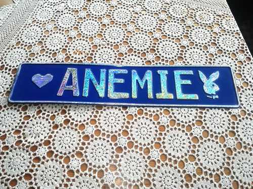 Kfz schild mit namensdruck - schild,