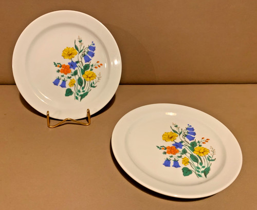 Teller colditz - -,