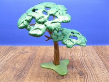 Akazie 16 cm Baum Afrika ZOO