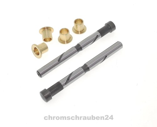 Paar türscharnierbolzen mit - paar,
