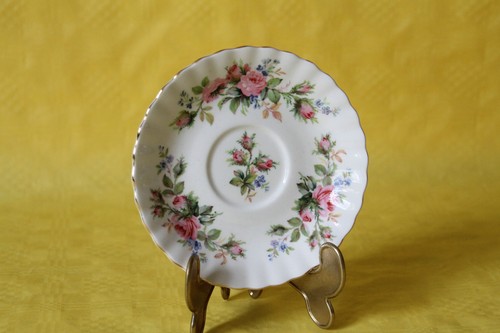 Royal albert moss rose - albert,