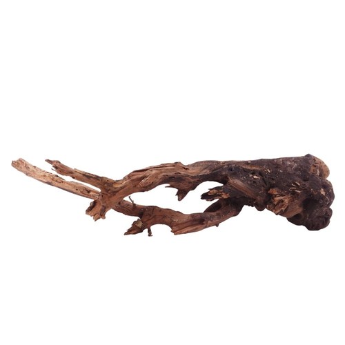 Driftwood flußwurzel - xl,