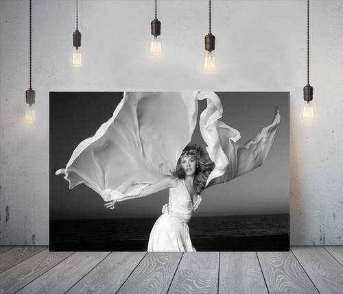 Musiker stevie nicks tief - 2,