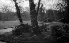 Negativ-Darmstadt-Park-Bäume-