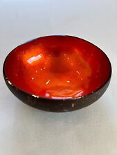 Kokosnuss Schale Farbig