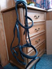 Pferde-Zaumzeug: Trense Carma / Warmblut nur 1 x angelegt