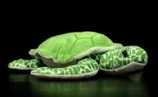 Grüne Schildkröte 11 Zoll