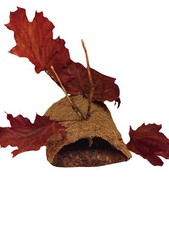 Spider Elora Tunnel, Spinnen