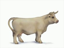 Schleich 13610 Charolais Kuh