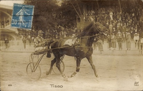 Foto trabrennen rennpferd - ak, trabrennen,