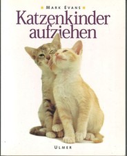 Katzenkinder aufziehen: Ein praktischer Ratgeber für das erste Lebensjahr - NEU