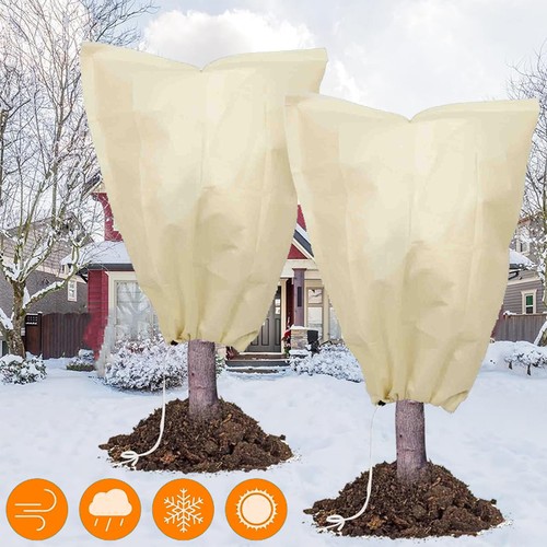 Winterschutz pflanzen schutz - pflanzen,