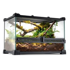 Glas-Reptilien-Terrarium