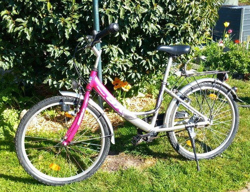 Zoll fahrrad marke pegasus - zoll,